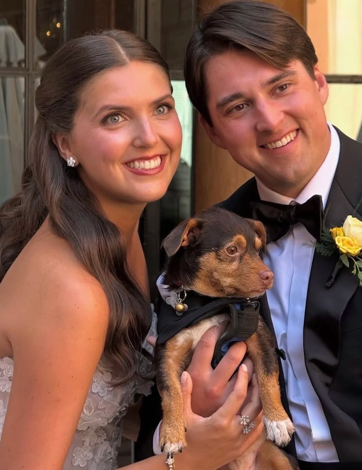 A close-up of a couple in black tie holding a small brown and tan terrier wearing a tuxedo harness between them.