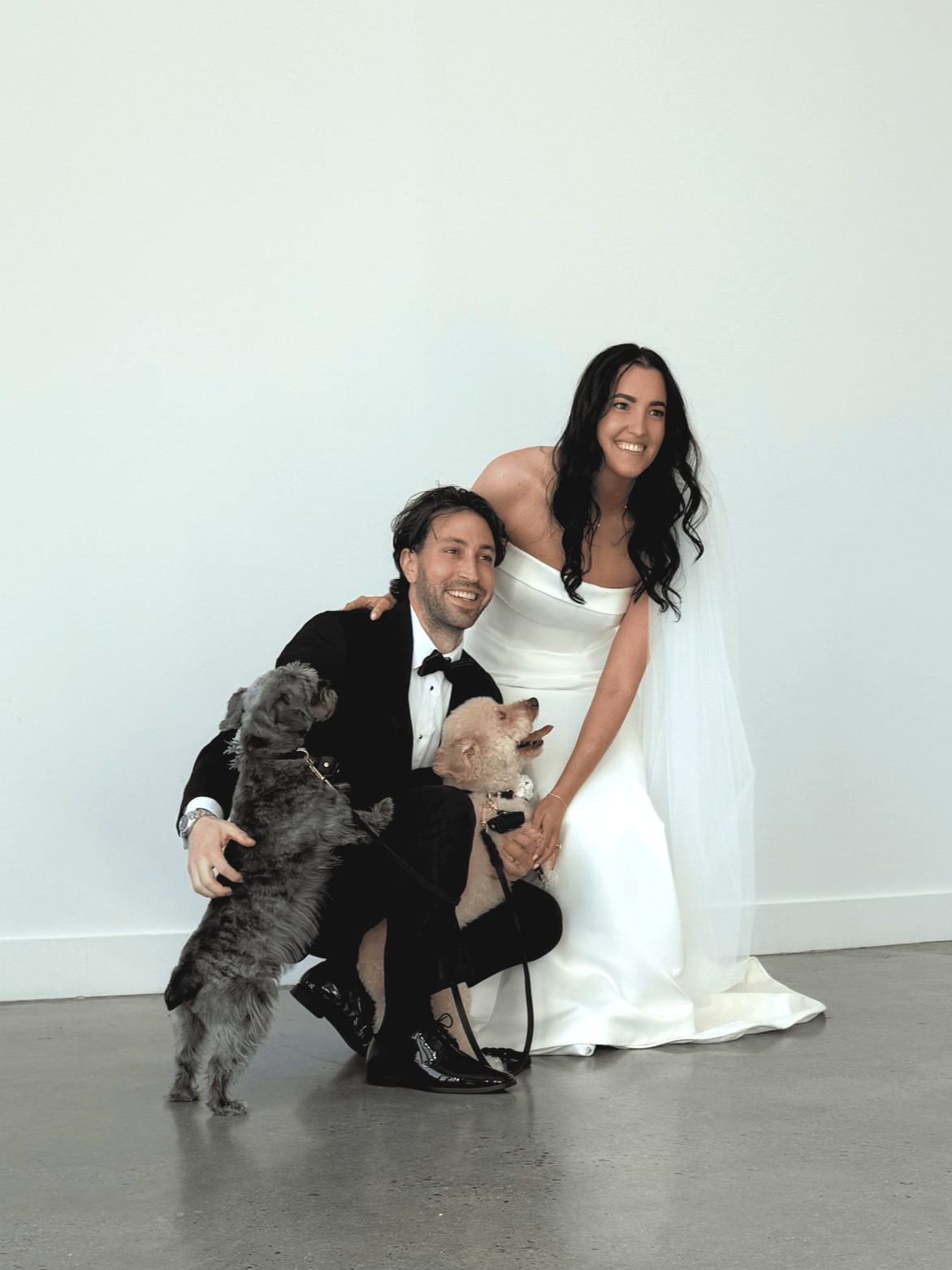 A groom kneeling in a white studio with two small dogs, a grey scruffy one up on his hind legs and a cream poodle tucked under his arm, the bride leaning over them laughing.
