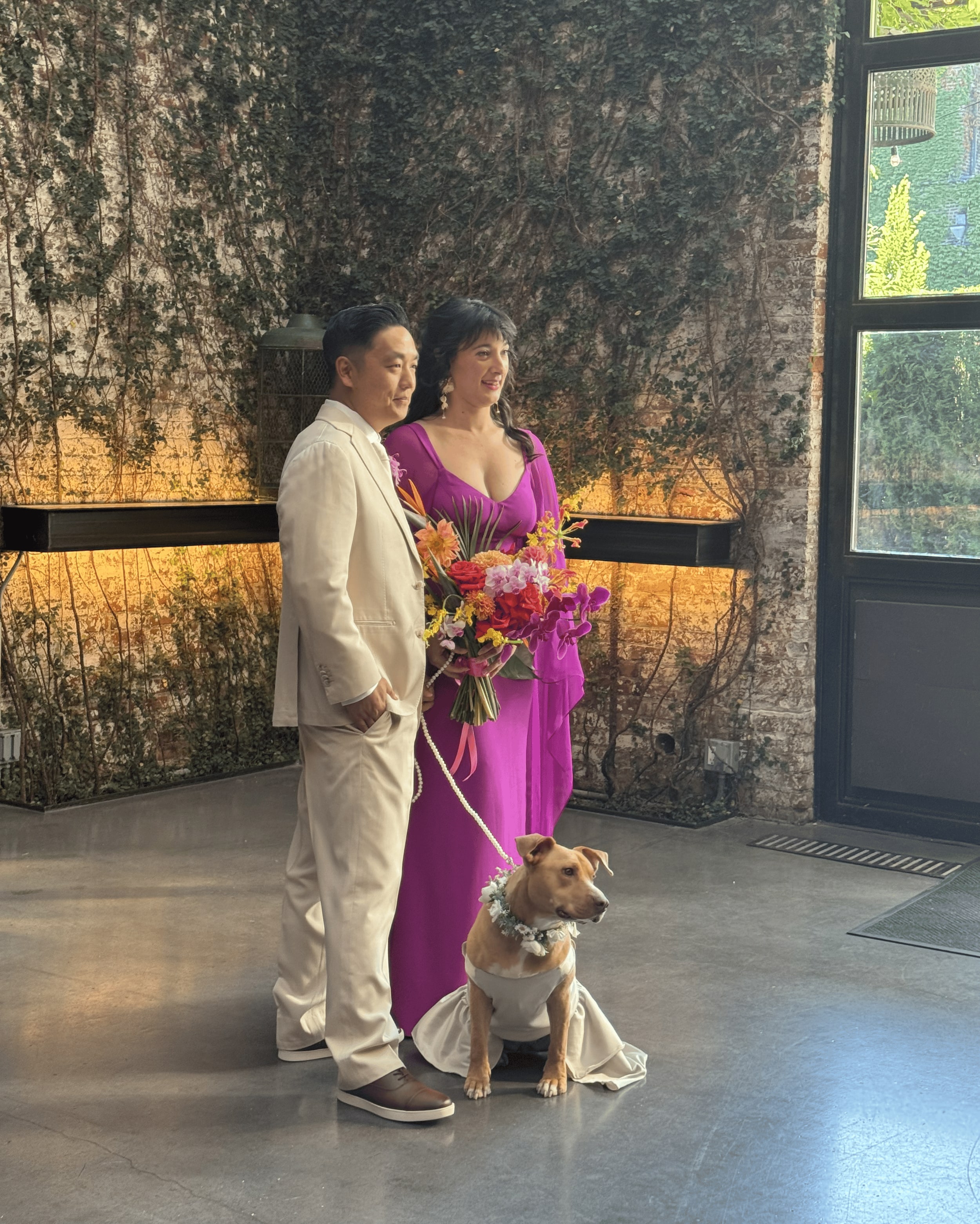 A couple in front of an ivy-covered brick wall, the bride in a magenta gown with a tropical bouquet, a tan dog in a cream dress and floral collar sitting beside them on a pearl lead.