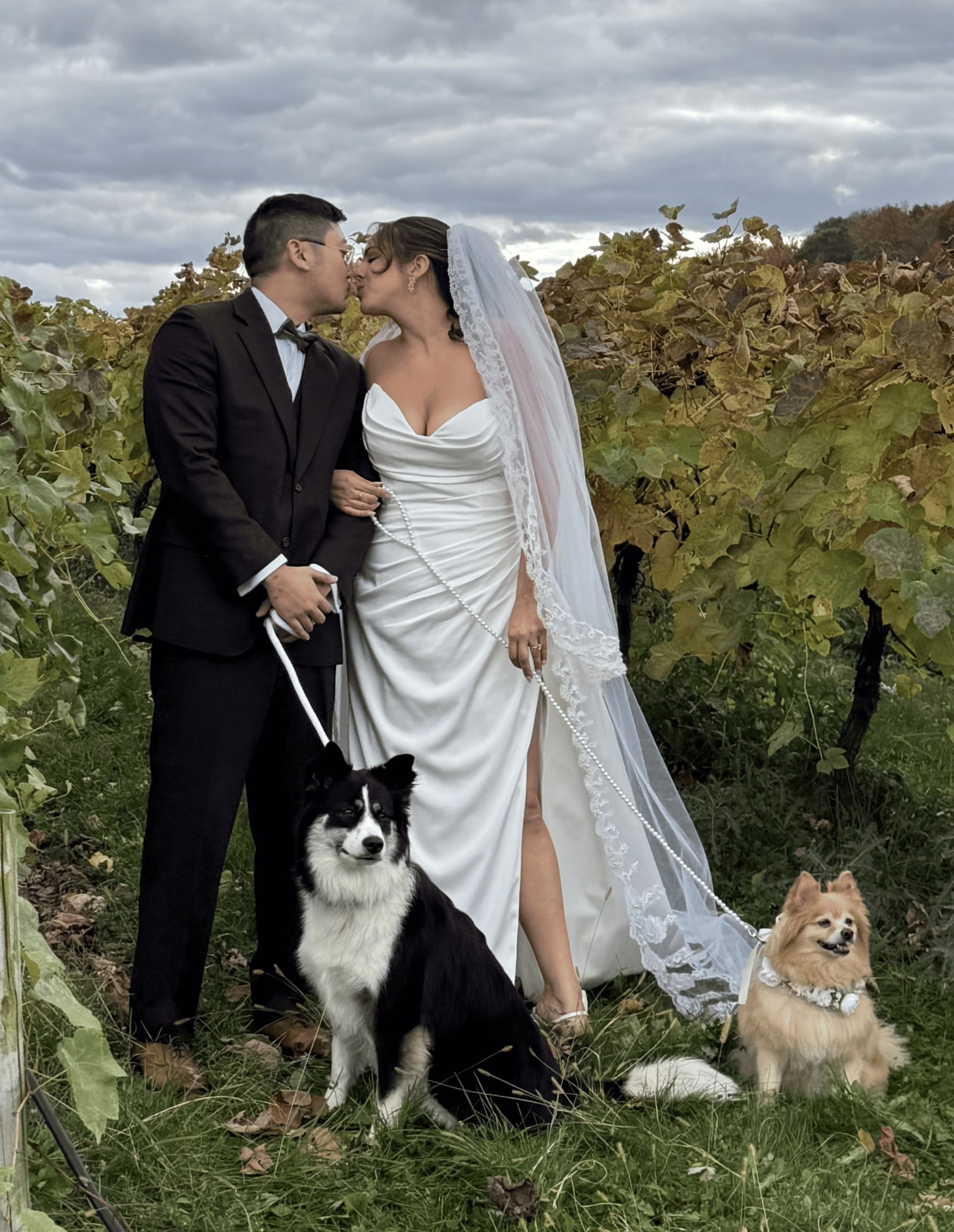 A couple kissing in a vineyard row in autumn, a black and white border collie and a small fluffy tan dog sitting either side of them on pearl leads.